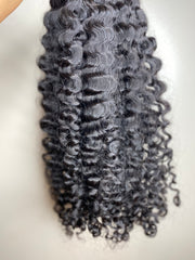 Amhara Curly